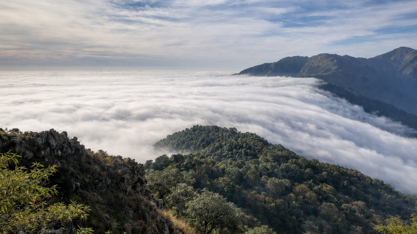 Serene forest landscape at Cloud End Mussoorie