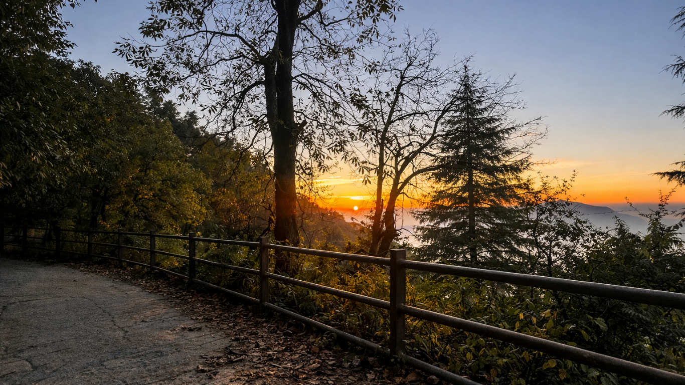 Lush green forest landscape at Cloud End Mussoorie Uttarakhand